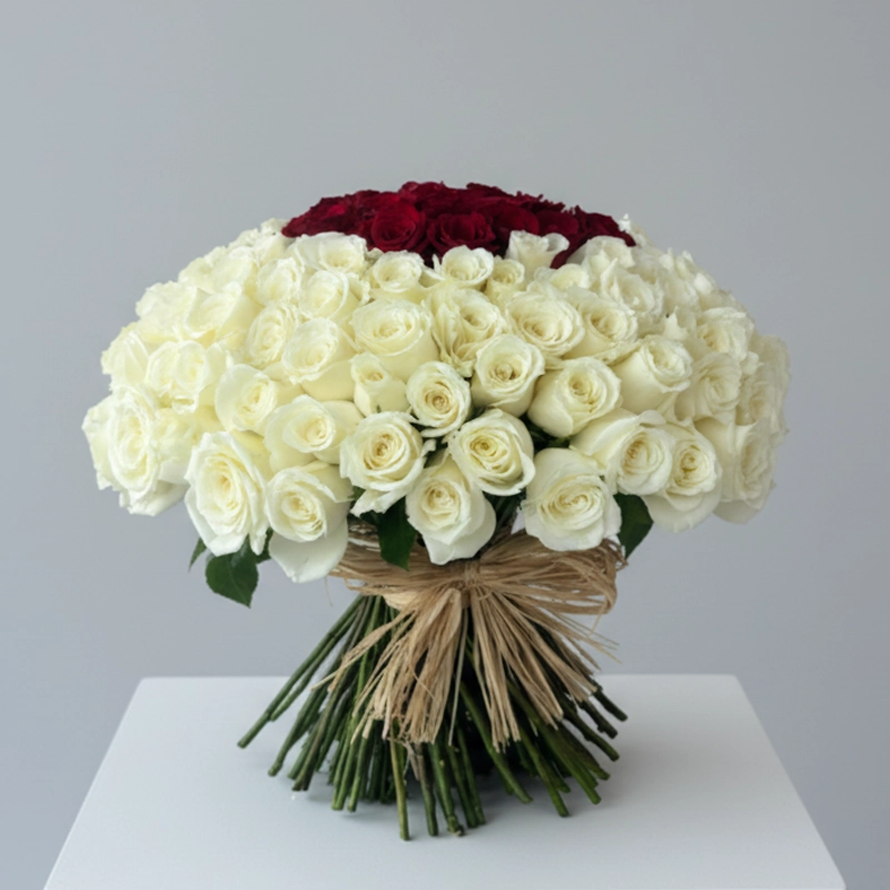 Grand hand-tied presentation bouquet of 100 white roses, tied with raffia, signifying eternal love and available for luxury delivery in the UAE.